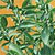 Stevia Seeds
