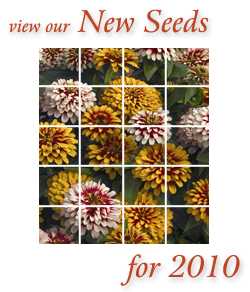 New Seeds for 2010