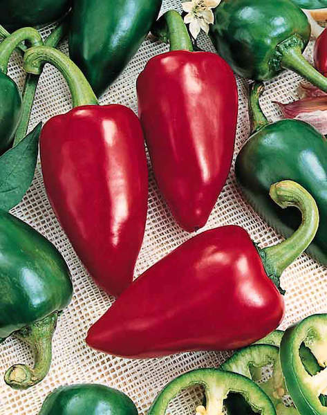 Sweet Pepper Seeds 8 Sweet Peppers Vegetable Garden Seeds