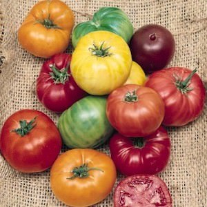 Heirloom Tomato Seeds - 22 Heirloom Tomatoes - Vegetable Seeds
